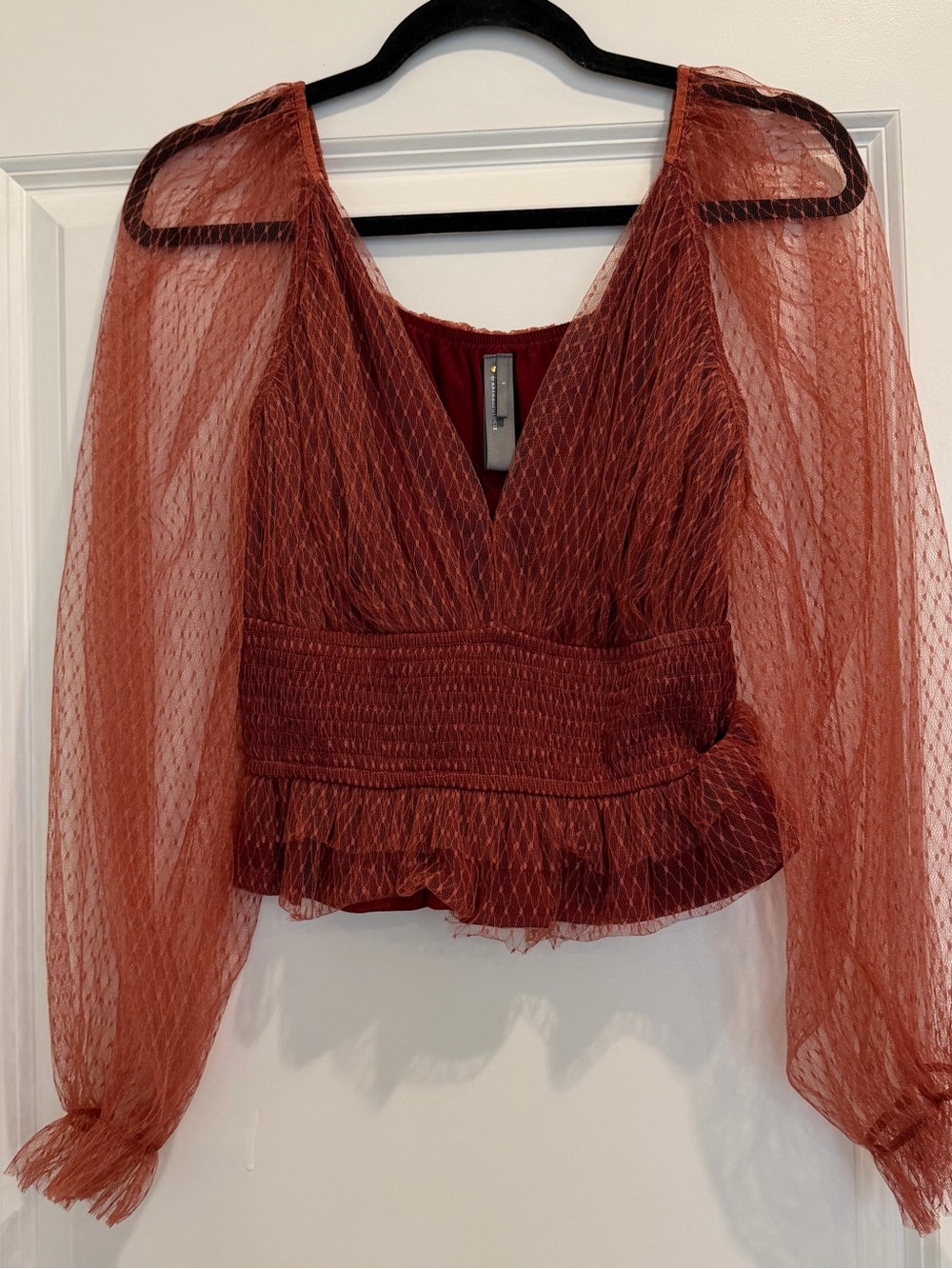 SIZE S | Anthropologie Rust Sheer Mesh V-Neck Blouse